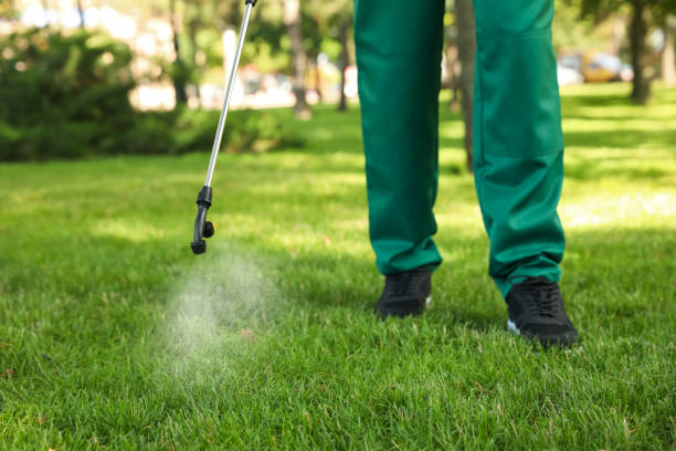 Best Local Pest Control Services  in Monterey, CA