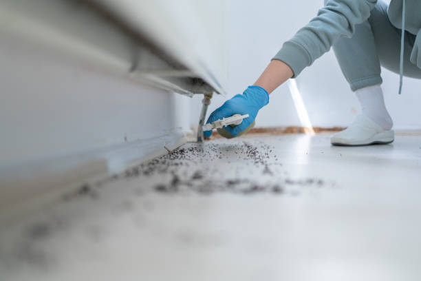 Best Pest Inspection Near Me  in Monterey, CA